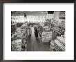 Shoppers At Large A&P Grocery Store by Alfred Eisenstaedt Limited Edition Print