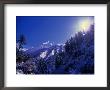 Snow Covered Forest On Jomson Trek On Annapurna Circuit, Jomsom, Nepal by Chris Mellor Limited Edition Pricing Art Print