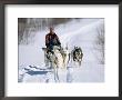 Dog Sleigh, Province Of Quebec, Canada by Bruno Morandi Limited Edition Print