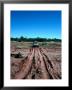 Landrover Driving Over Dry River Bed, Matusadona National Park, Mashonaland West, Zimbabwe by Tony Wheeler Limited Edition Pricing Art Print