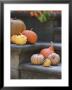 Pumpkins On Stairs by Alena Hrbkova Limited Edition Pricing Art Print