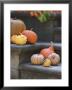 Pumpkins On Stairs by Alena Hrbkova Limited Edition Print