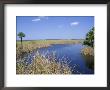 Everglades National Park, Unesco World Heritage Site, Florida, Usa by J Lightfoot Limited Edition Print
