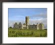 Ross Errilly Franciscan Friary, Near Headford, County Galway, Connacht, Republic Of Ireland by Gary Cook Limited Edition Print