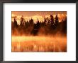 Fishing Bridge Region, Yellowstone National Park, Wyoming by Richard Cummins Limited Edition Print