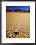 Sliding Rock And Its Track, The Racetrack, Death Valley National Park, California by Mark Newman Limited Edition Print