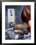 Girl Helping Cat At Cat Fountain, Positano, Campania, Italy by Philip & Karen Smith Limited Edition Pricing Art Print