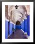 Cloisters, Monasterio De Santa Catalina, Arequipa, Arequipa, Peru by Brent Winebrenner Limited Edition Print
