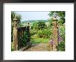 View To Enclosed Garden & Countryside Somerset Lodge by Sunniva Harte Limited Edition Print