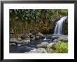 Annandale Falls, Constantine, St. George, Grenada by Holger Leue Limited Edition Print