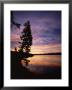 Sunrise, Yellowstone Lake, Yellowstone National Park, Wyoming by Geoff Renner Limited Edition Print