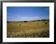 Campidano, Island Of Sardinia, Italy by Oliviero Olivieri Limited Edition Pricing Art Print
