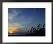 A Flock Of Pelicans Soars Above A Beach At Sunset by David Evans Limited Edition Print