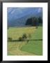 Farmland In The High Tatra Mountains Near Zdiar And Polish Border, Slovakia by Upperhall Limited Edition Print