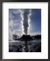 Castle Geyser At Sunrise In Yellowstone National Park, Wyoming, Usa by Diane Johnson Limited Edition Print