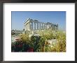 The Parthenon, Unesco World Heritage Site, Athens, Greece, Europe by Christina Gascoigne Limited Edition Print