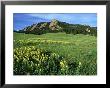 Rocky Mountain Foothills, Usa by Olaf Broders Limited Edition Print