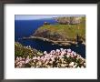 Wildflowers On Rugged Cliffs, Tintagel, Cornwall, England by Glenn Beanland Limited Edition Print