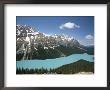 Peyto Lake, Coloured By Glacial Silt, Banff-Jasper National Parks, Canada by Tony Waltham Limited Edition Print