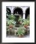 One Of Many Lovely Garden Courtyards In Old Havana, Havana, Cuba, West Indies, Central America by R H Productions Limited Edition Print