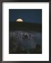 The Moon On The Horizon Of A Hillside Covered With Lodgepole Pine Trees by Tom Murphy Limited Edition Print