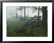 Heavy Fog Hangs Over Split Rail Fences In Early Morning by Stephen St. John Limited Edition Print