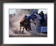 Rodeo Rider Falling Off Bull, New South Wales, Australia by Oliver Strewe Limited Edition Print