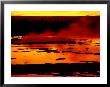 Vapor Flows From Grand Geyser At Sunset, Yellowstone National Park, Wyoming, Usa by Nancy & Steve Ross Limited Edition Print