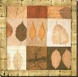 Leaf Medley by Gabriel Scott Limited Edition Print