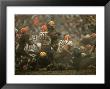 Cleveland Browns Vince Costello Wrapping A Tackle Around Green Bay Packers Running Back Jim Taylor by Art Rickerby Limited Edition Print