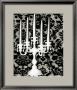 Patterned Candelabra Ii by Ethan Harper Limited Edition Pricing Art Print