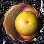 Grapefruit In Silver Bowl by Ilona Wellmann Limited Edition Print