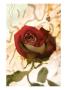 Red Rose With Abstract Drawing Background by Images Monsoon Limited Edition Print