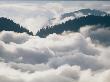 View Of Clouds And Forested Mountains Below One Of Arabika's Peaks by Stephen Alvarez Limited Edition Pricing Art Print