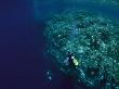 Divers Exploring A Reef Wall In North Sulawesi by Tim Laman Limited Edition Print