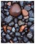 Beaver Bay Rocks I by Danny Burk Limited Edition Pricing Art Print