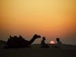 Camel And Men At Sunset In The Dessert by Scott Stulberg Limited Edition Print
