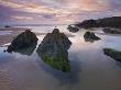 Rockpools Exposed At Low Tide, Combesgate Beach, Devon, England, United Kingdom, Europe by Adam Burton Limited Edition Print