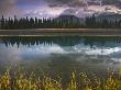 Cascade River, Banff National Park, Alberta, Canada by Adam Burton Limited Edition Print