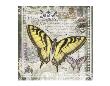 Butterfly Artifact Ii by Alan Hopfensperger Limited Edition Print