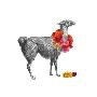 Llama by John Murphy Limited Edition Print