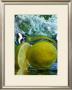 Limone by Michael Meisen Limited Edition Print