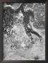 Father And Daughter Playing In The Surf At Jones Beach by Alfred Eisenstaedt Limited Edition Print