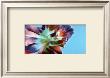 Floral Fantasy Ii by Sigi Loew Limited Edition Print