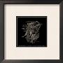 Touch Of Security by Ruane Manning Limited Edition Print