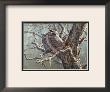 Silent Forest (Great Horned Owls) by Pierre Leduc Limited Edition Print