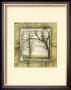 Architectural Tile Montage Viii by Jennifer Goldberger Limited Edition Print