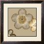 Pop Blossoms In Neutral Ii by Erica J. Vess Limited Edition Print