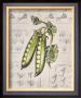 Vintage Linen Peas by Lauren Hamilton Limited Edition Print