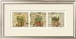 Potted Flowers, Three Panels Iii by Herve Libaud Limited Edition Print